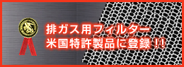 �r�K�X�p�t�B���^�[ �č��������i�ɓo�^!!